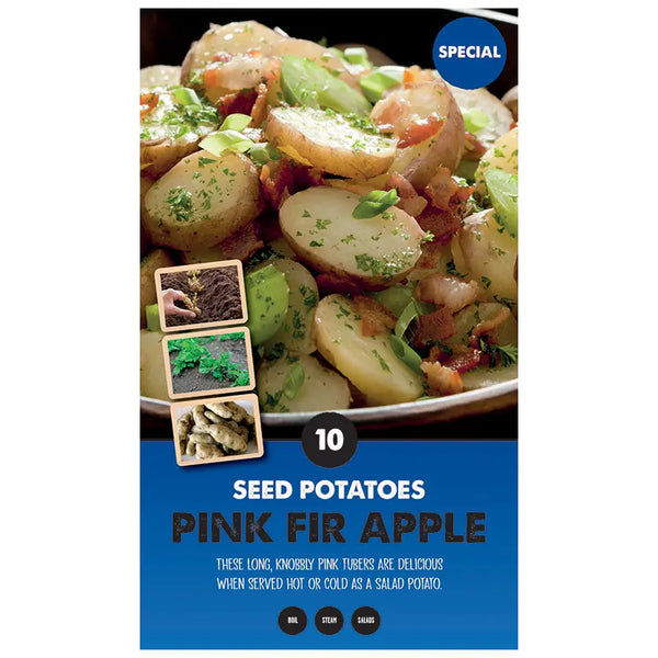 Pink Fir Apple Main Crop Seed Potatoes (Pack of 10) image 0