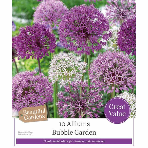 Allium ‘Bubble Garden’ Pack (10 Bulbs) image 0