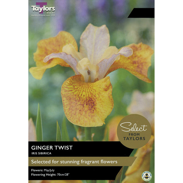 Iris ‘Ginger Twist’ (2 Bulbs) image 0