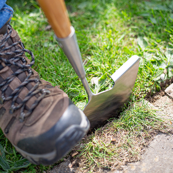 AMES Lawn Edger Stainless Steel image 2