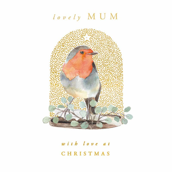 Woodmansterne Robin Inside a Jar Christmas Card image 0