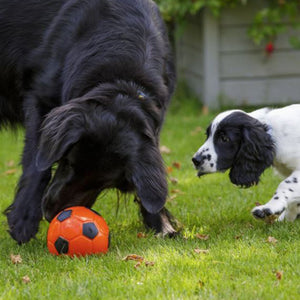Petface Seriously Strong Treat Football Dog Toy image 4