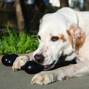 Kong Extreme Goodie Bone Dog Toy image 1