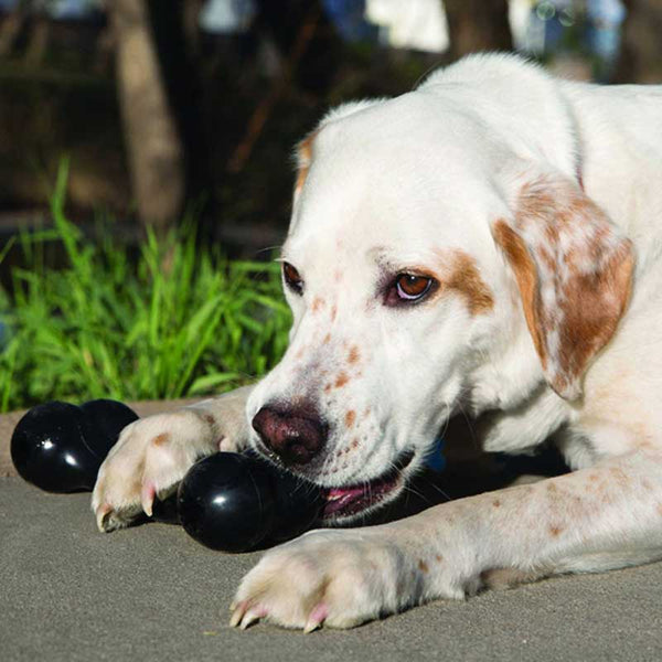 Kong Extreme Goodie Bone Dog Toy image 1