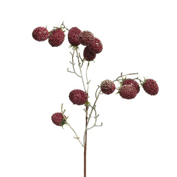 Everlands Blackberry Spray (80cm) image 0