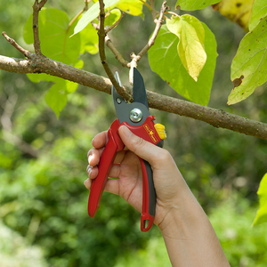 Wolf Garten Anvil Secateurs RS2500 image 1