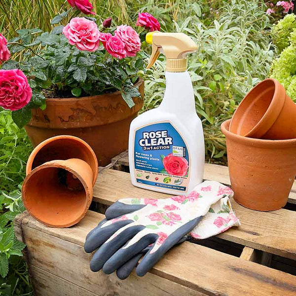 RoseClear 3 in 1 RTU Insecticide & Fungicide Spray image 2