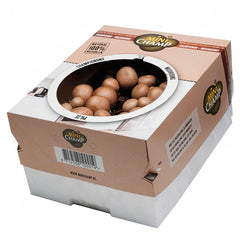 Champignons Mushroom Growing Kit 'Brown' (7.5 litres) image 0