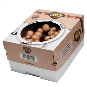 Champignons Mushroom Growing Kit 'Brown' (7.5 litres) image 0