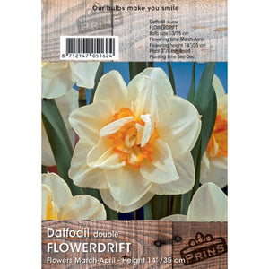 Narcissus ‘Flower Drift’ Double Daffodil (3kg Bag of Bulbs) image 0