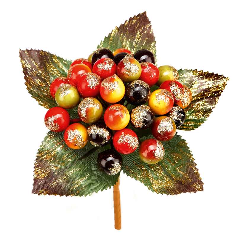 Premier Delarobia Berry Pick image 0