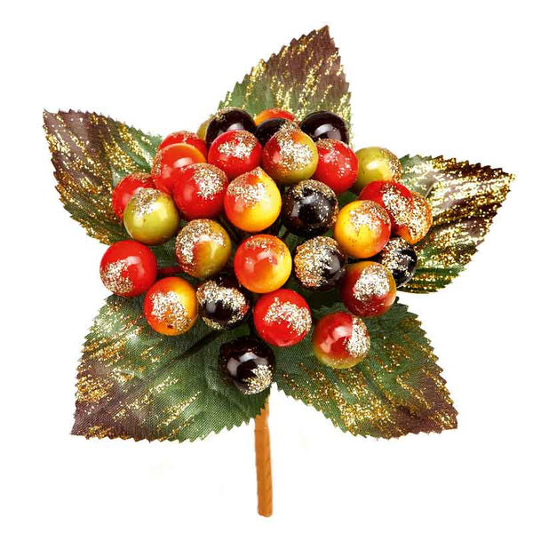 Premier Delarobia Berry Pick image 0