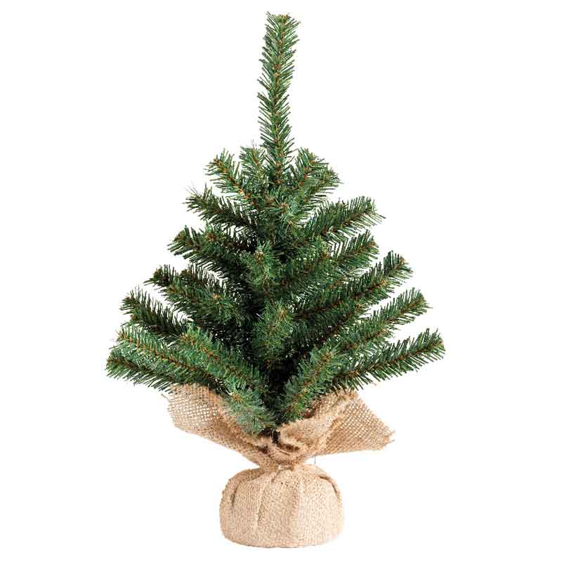 Everlands Mini Imperial Pine image 0