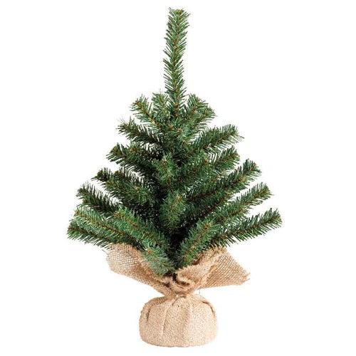 Everlands Mini Imperial Pine image 1