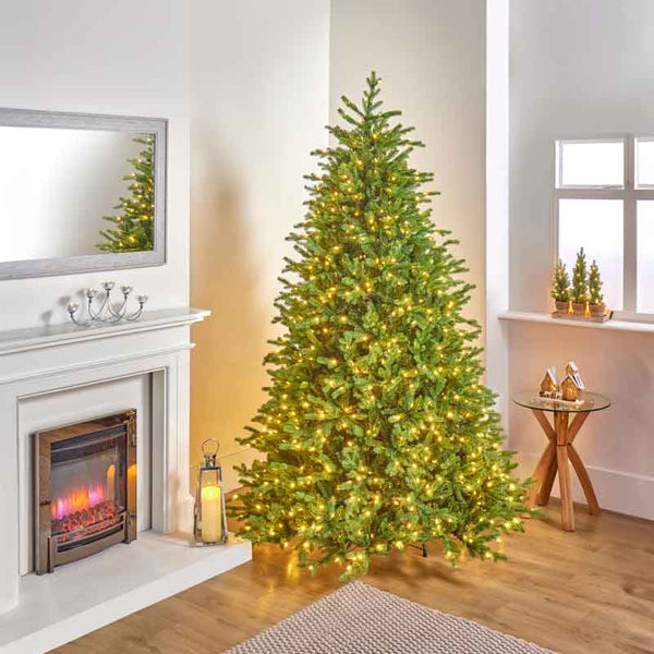 National Tree Princeton Medium Pre-Lit Christmas Tree - 6.5ft image 0