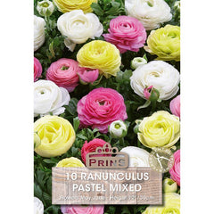 Ranunculus Pastel Mixed (10 Bulbs) image 0