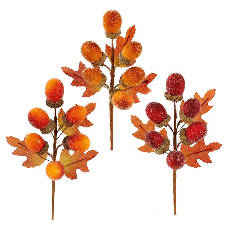 Premier Acorn Pick (Assorted Designs) image 0