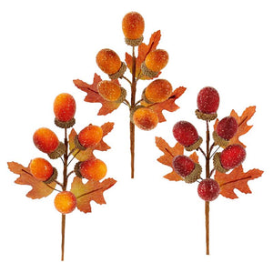 Premier Acorn Pick (Assorted Designs) image 0