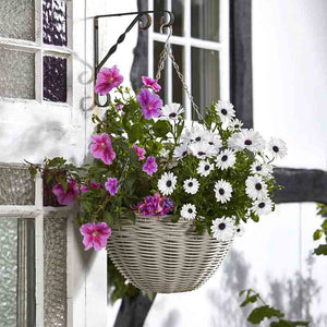 Smart Garden Seashell Faux Rattan Hanging Basket (14-inch) image 0