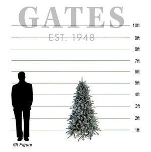 National Tree Snowy Dorchester Pine Slim Artificial Christmas Tree - 5.5ft image 1