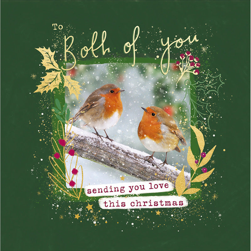 Woodmansterne Robins On Branch Christmas Card image 0