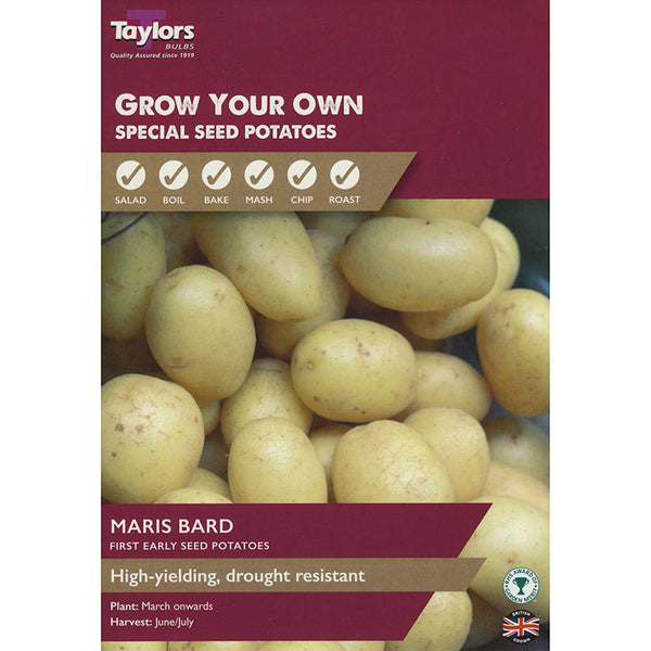 Maris Bard First Early Seed Potatoes - Pack of 8 image