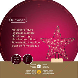 Lumineo Battery-Operated Micro LED Star on Stand image 2