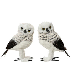 Decoris Standing Grey Owl (Assorted Designs) - 21cm image