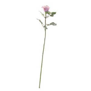 Single Antique Pink Celia Rose Stem (71cm) image 2