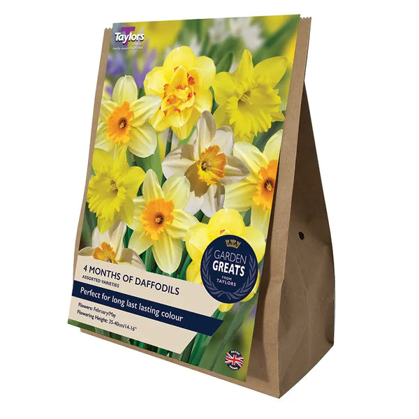 4 Months Of Daffodils Bulb Collection (25 bulbs) image 0