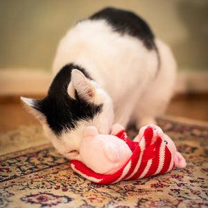 Cupid & Comet 'Penny Pig In Blanket' Cat Toy image 5