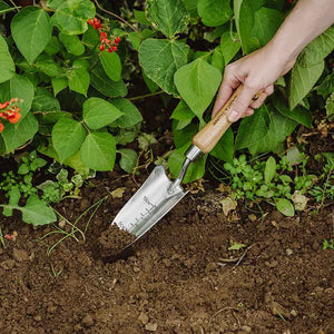 Kent & Stowe Stainless Steel Hand Transplanting Trowel image 2