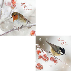 RSPB Luxury Christmas Cards - Frosty Perch (Pack of 10) image 1