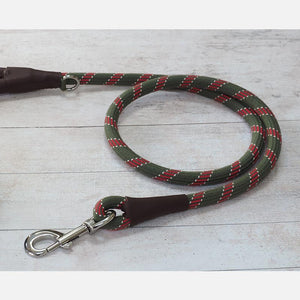Zoon Walkabout Primo Olive Dog Lead image 1