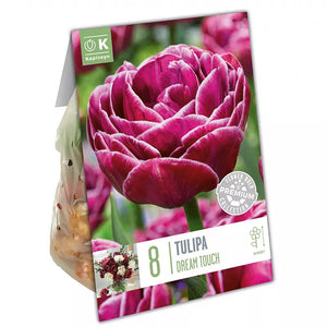 Tulip 'Dream Touch' (8 bulbs) image 1