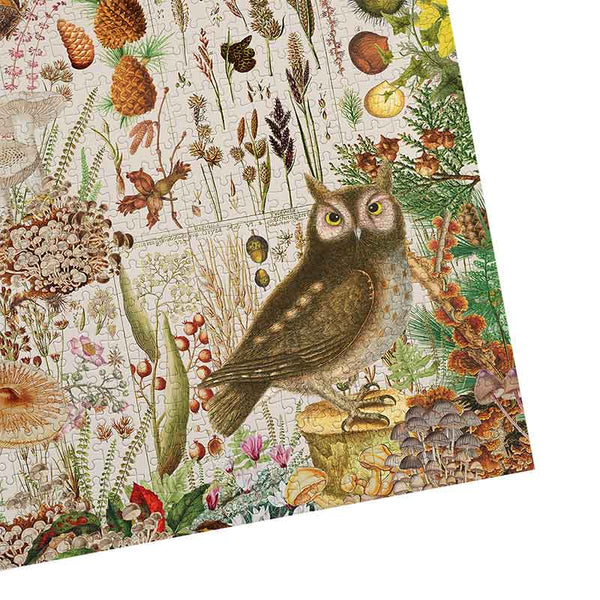 Gibsons RHS: Fall Flora 1000 Piece Puzzle image 2