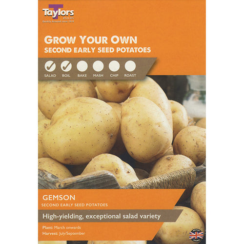Gemson Second Early Seed Potatoes - Pack of 10 image
