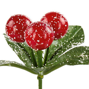Premier Frosted Berry Pick image 1
