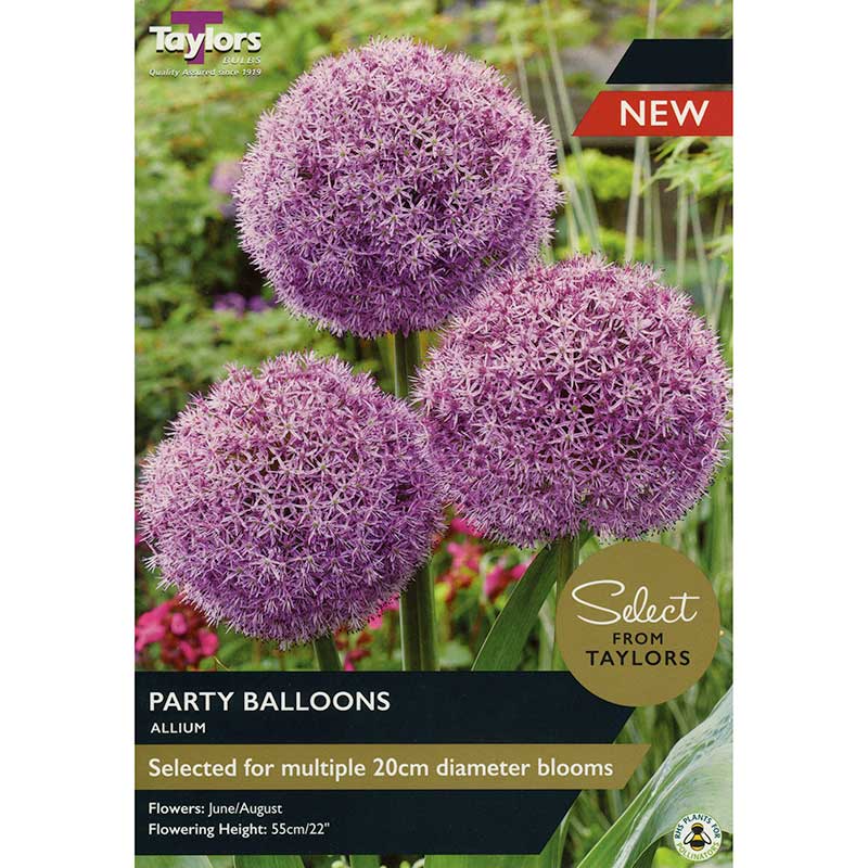 Allium ‘Party Balloons’ (1 bulb) image 0
