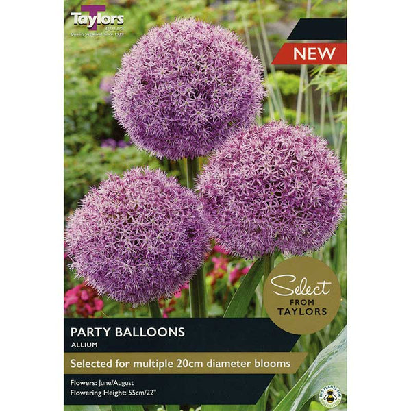Allium ‘Party Balloons’ (1 bulb) image 0