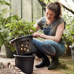 elho® Green Basics Potato Pot 33cm image 1