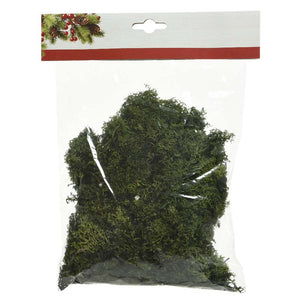 Green Decorative Moss (50g) image 0