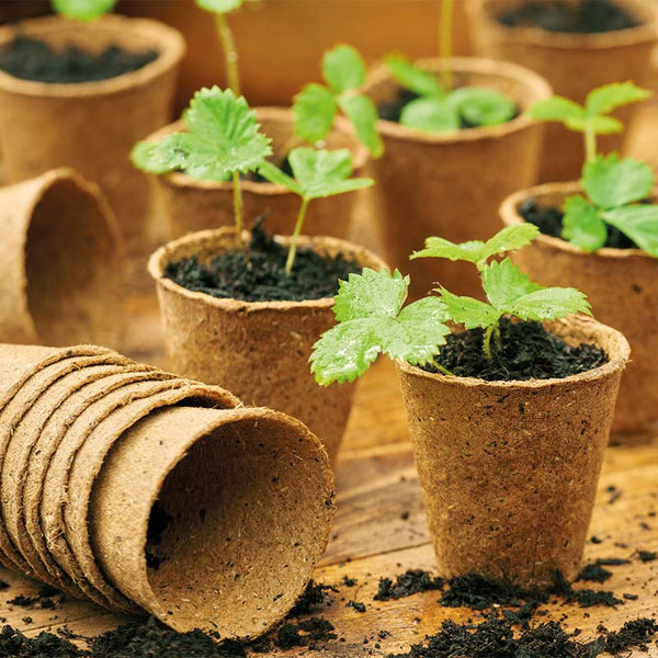 Gro-Sure Fibre Root Pot 8cm Round image 3