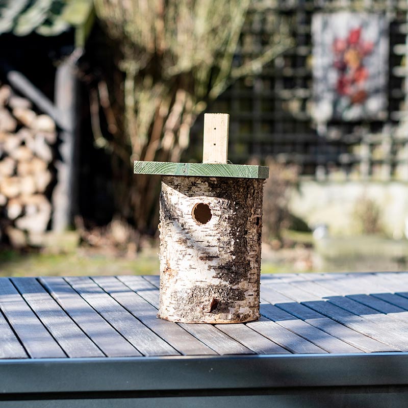 National Trust Birch Log Nest Box 32mm Hole image 0
