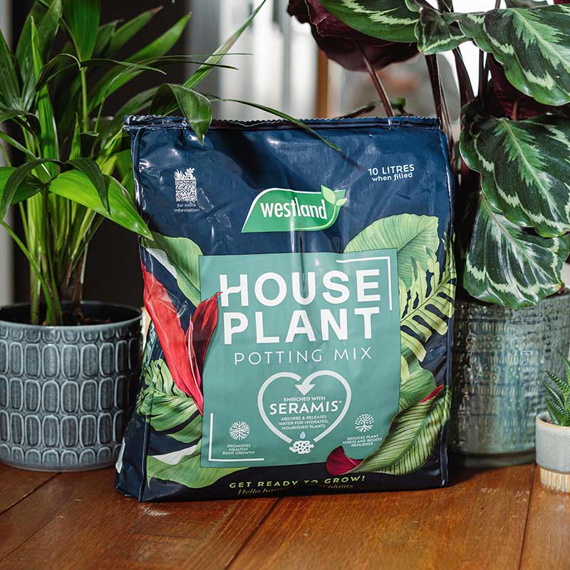 Westland Peat Free Houseplant Potting Mix - 10 Litres image 0