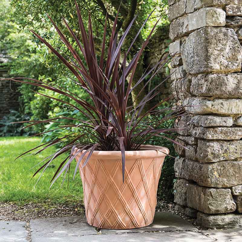 Woodlodge Terracotta Aladdin Pot image 0