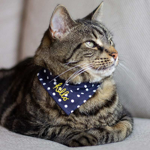Joules Hello Neckerchief Cat Collar image 0