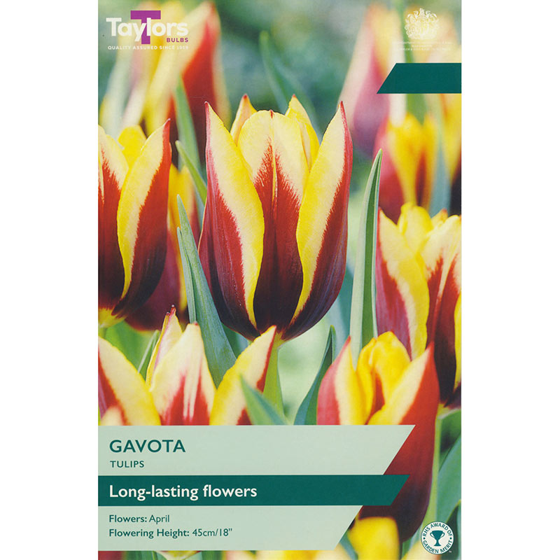 Tulip ‘Gavota’ (6 bulbs) image 0