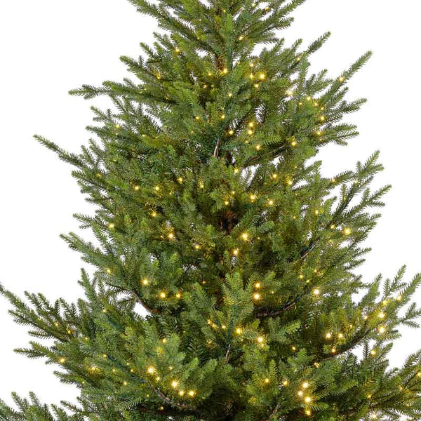 Everlands Norway Spruce Pre-Lit Christmas Tree - 7ft / 2.1m image 2