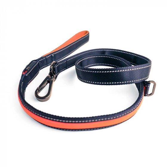 Zoon Flash & Go Rechargeable Dog Lead image 0